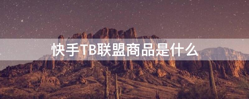 快手TB聯(lián)盟商品是什么