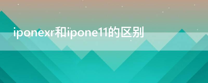 iponexr和ipone11的區(qū)別