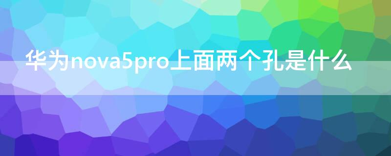 华为nova5pro上面两个孔是什么