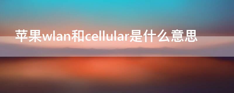 iPhonewlan和cellular是什么意思（苹果ipadwlan和cellular是什么意思）