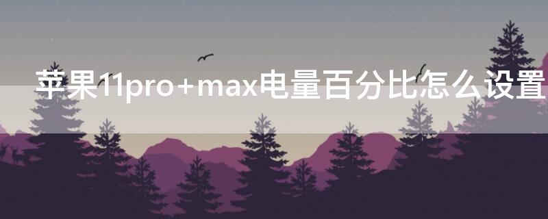 iPhone11pro max電量百分比怎么設(shè)置