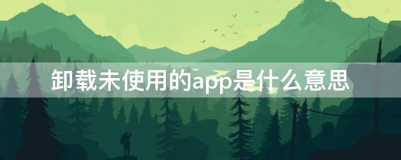 卸载未使用的app是什么意思（卸载未用APP是什么意思）