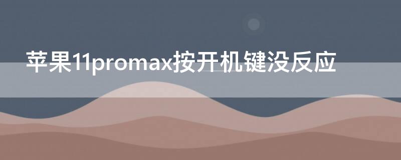 iPhone11promax按开机键没反应（苹果11promax按开机键没反应）