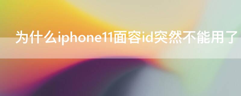 為什么iPhone11面容id突然不能用了