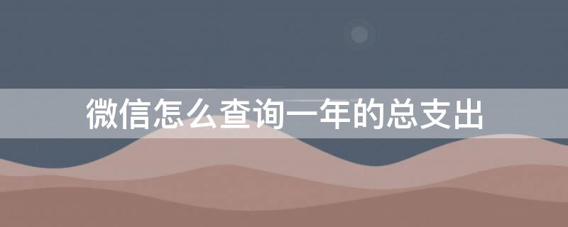 微信怎么查询一年的总支出（微信怎样查一年的总支出）