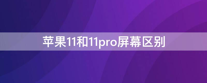 iPhone11和11pro屏幕区别（iphone11和11pro屏幕有什么区别）