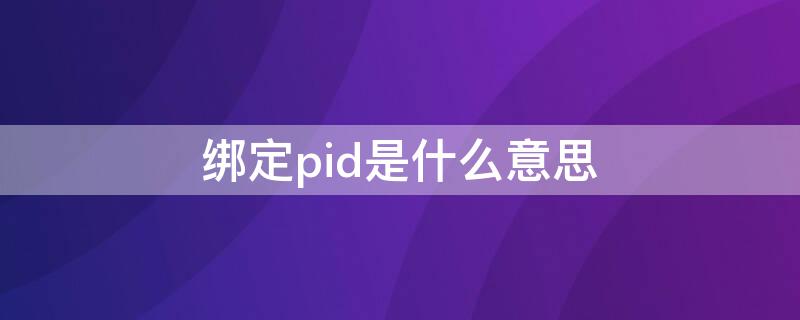 绑定pid是什么意思 微信绑定pid是什么意思