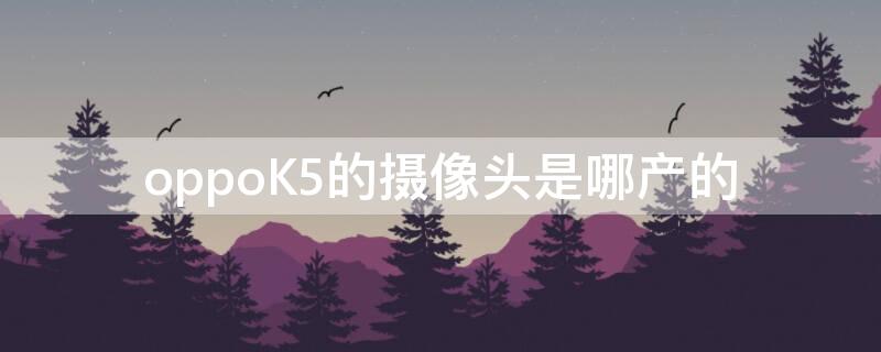 oppoK5的攝像頭是哪產(chǎn)的 oppok5前置攝像頭怎么樣