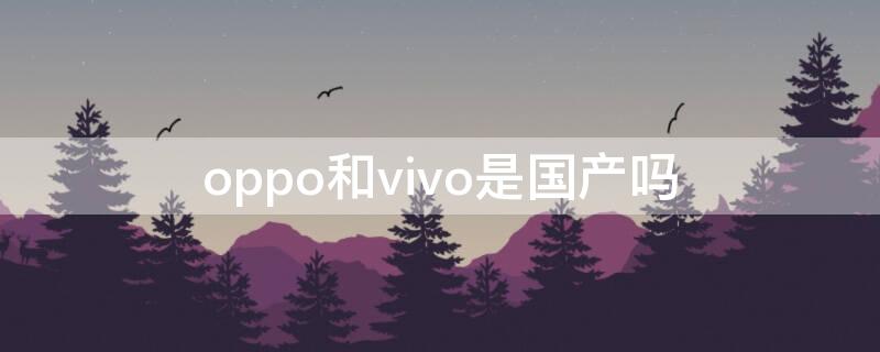 oppo和vivo是国产吗 vivo和oppo是国产的嘛