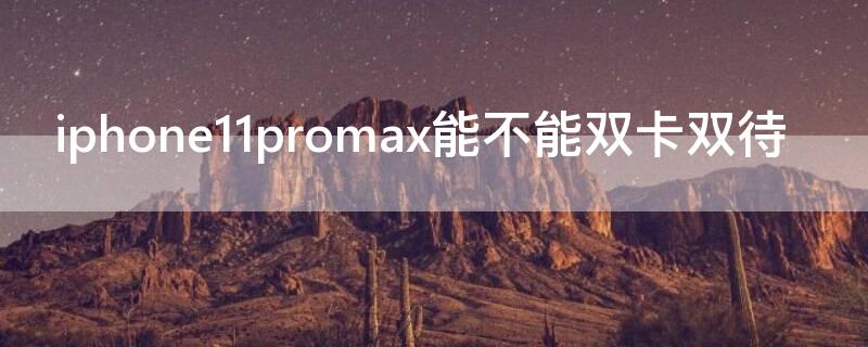 iPhone11promax能不能双卡双待