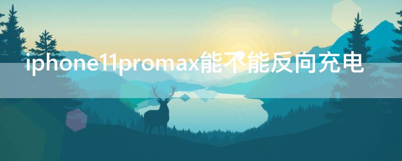 iPhone11promax能不能反向充電（iphone11promax有反向充電功能嗎）