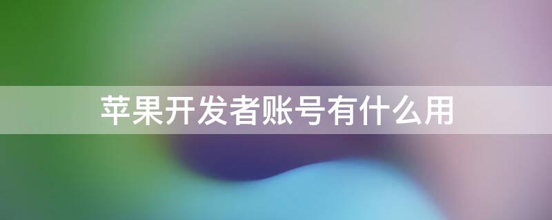 iPhone开发者账号有什么用（iPhone开发者账号）