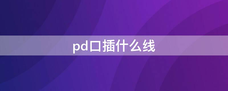 pd口插什么线 pd头必须配pd线吗