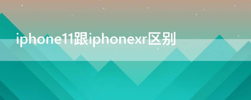 iPhone11跟iPhonexr区别 iPhone11和iPhonexr有什么区别