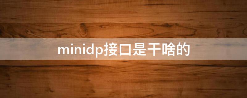 minidp接口是干啥的（minidp接口是干什么的）