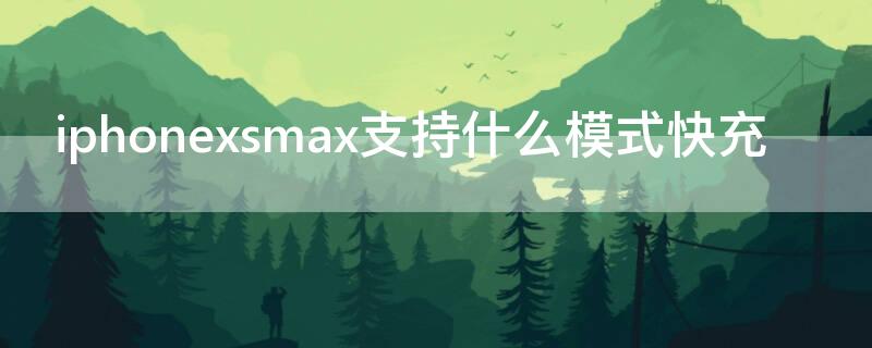 iPhonexsmax支持什么模式快充（iphonexsmax有没有快充功能）