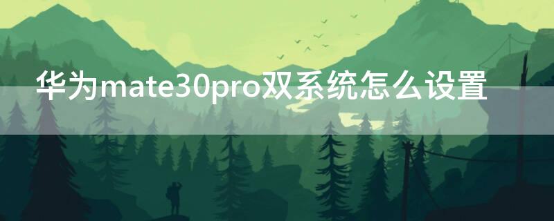 华为mate30pro双系统怎么设置 华为mate30pro怎么设置两个系统