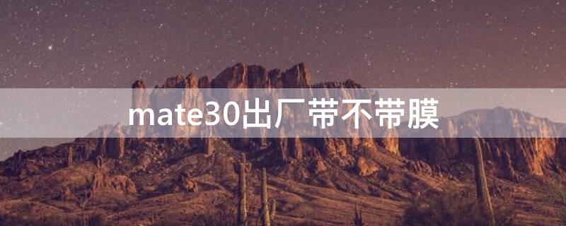 mate30出廠帶不帶膜（mate30出廠自帶保護(hù)膜嗎）