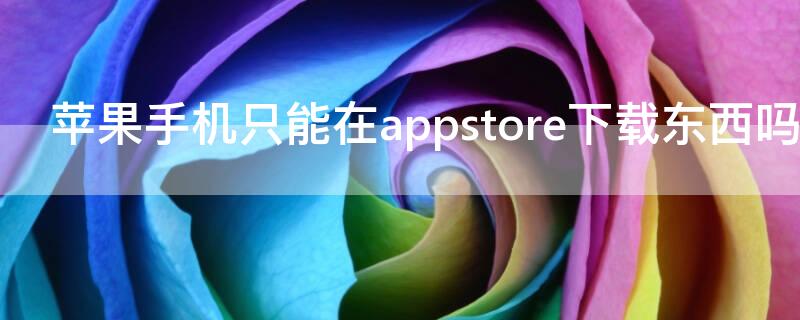 iPhone手機(jī)只能在appstore下載東西嗎（蘋果手機(jī)只能用appstore下載嗎）