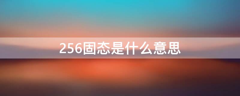 256固态是什么意思（固态硬盘256g是什么意思）