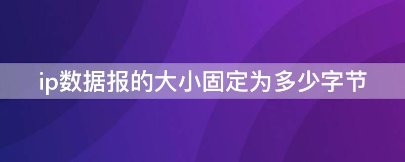 ip數(shù)據(jù)報的大小固定為多少字節(jié) ip地址的每個字節(jié)的數(shù)據(jù)范圍