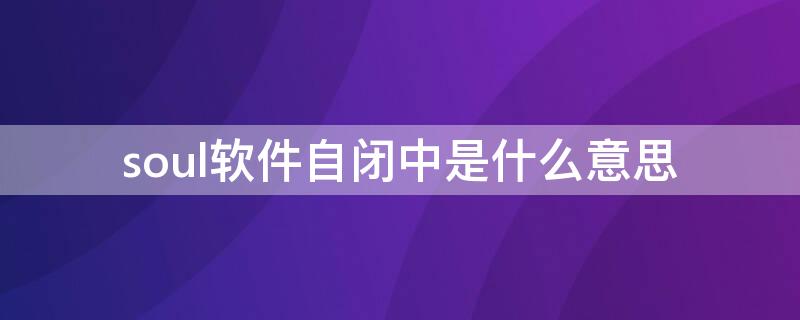 soul軟件自閉中是什么意思（soul自閉中有什么用）