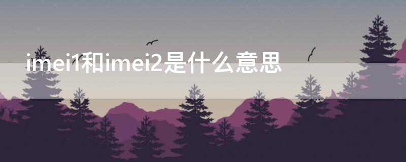 imei1和imei2是什么意思 苹果imei1和imei2是什么意思