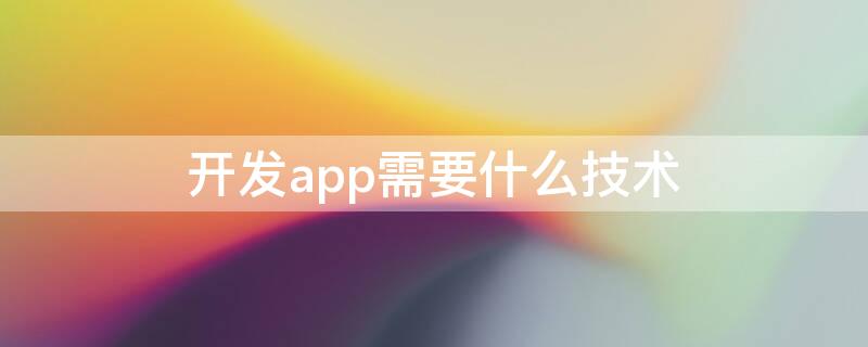 開發(fā)app需要什么技術（做一個app需要學什么）