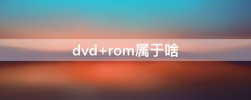 dvd rom属于啥