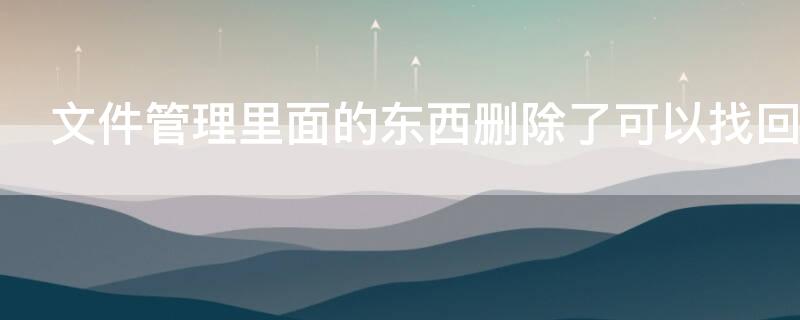 文件管理里面的东西删除了可以找回吗