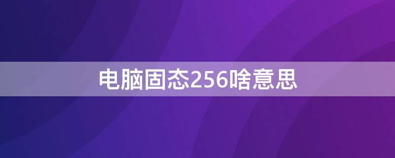 电脑固态256啥意思 电脑固态硬盘256g是什么意思