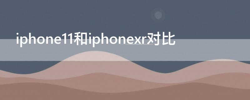 iPhone11和iPhonexr对比（iPhone11和iPhonexr对比）