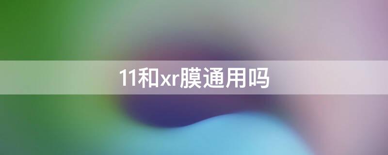 11和xr膜通用吗（XR和11的膜通用吗）