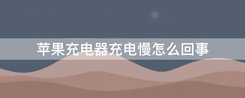 iPhone充电器充电慢怎么回事（苹果充电器充电特别慢是怎么了）