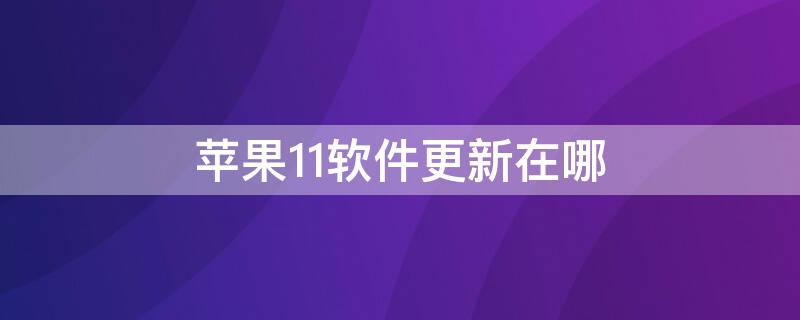 iPhone11软件更新在哪 iphone11软件自动更新在哪