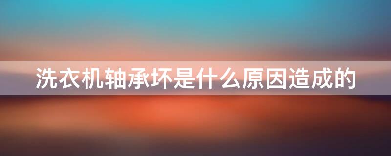 洗衣機軸承壞是什么原因造成的（洗衣機軸承壞了是什么原因）