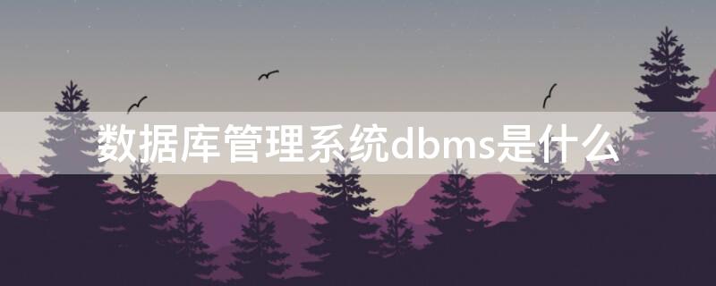 數(shù)據(jù)庫管理系統(tǒng)dbms是什么 DBMS管理的是什么數(shù)據(jù)