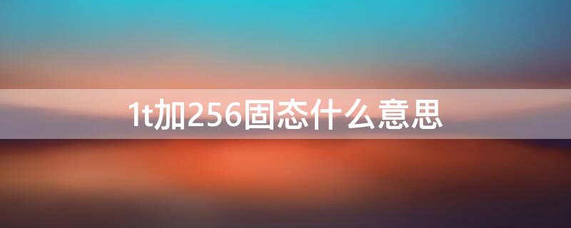 1t加256固態(tài)什么意思