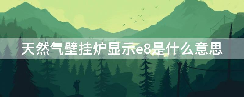 天然气壁挂炉显示e8是什么意思（壁挂炉显示e8是什么情况）