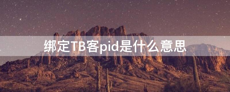 綁定TB客pid是什么意思