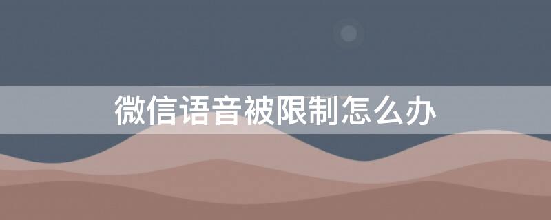 微信語音被限制怎么辦 微信語音被限制不能發(fā)語音