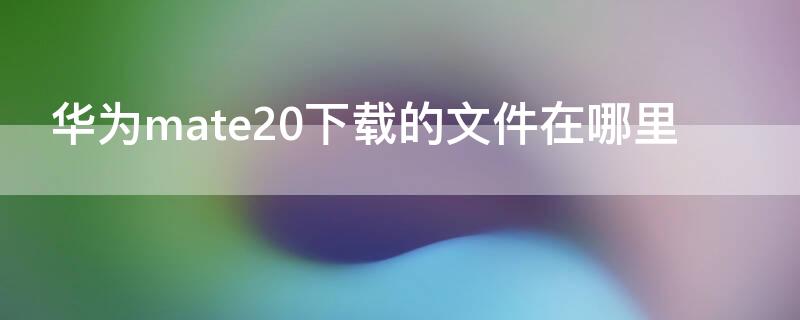 华为mate20下载的文件在哪里（mate20pro下载的文件在哪里）