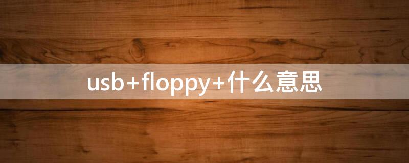 usb floppy 什么意思