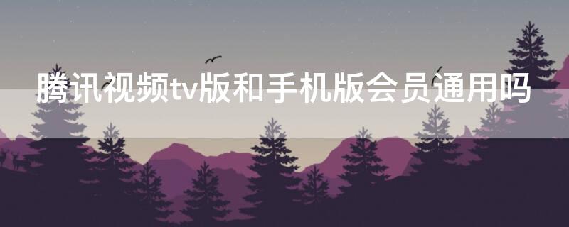 腾讯视频tv版和手机版会员通用吗（腾讯视频会员支持tv版吗）