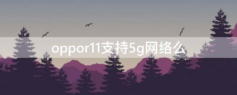 oppor11支持5g網(wǎng)絡(luò)么 oppor11s支持5g網(wǎng)絡(luò)嗎