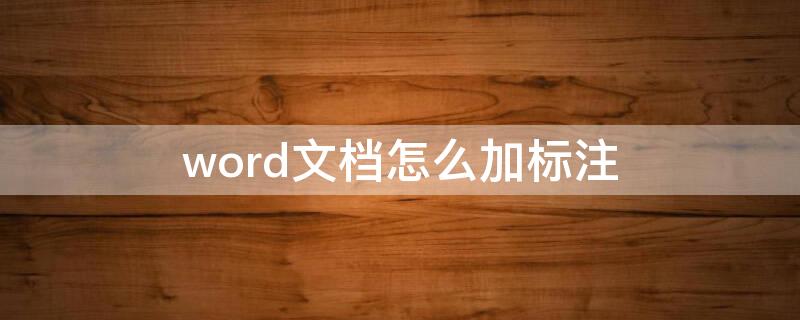 word文檔怎么加標(biāo)注（word文檔怎么加標(biāo)注線）