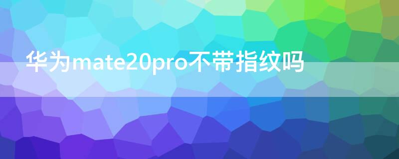 华为mate20pro不带指纹吗