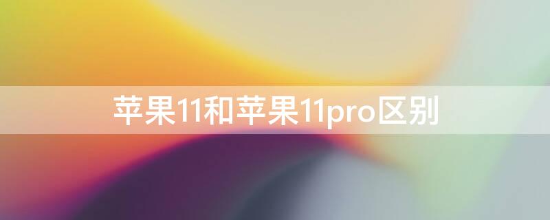 iPhone11和iPhone11pro区别（iphone11和iphone11pro区别在哪）