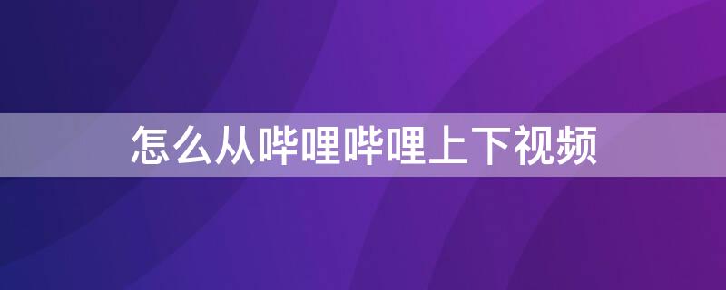 怎么从哔哩哔哩上下视频 怎么从bilibili上下载视频