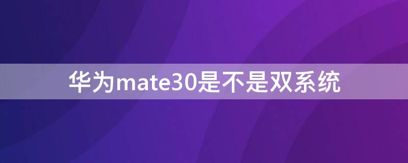 华为mate30是不是双系统（华为mate30e有双系统吗）